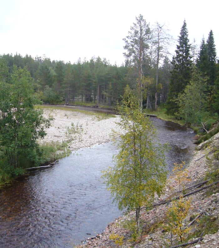 Hvid flugt i Finland — billede 2