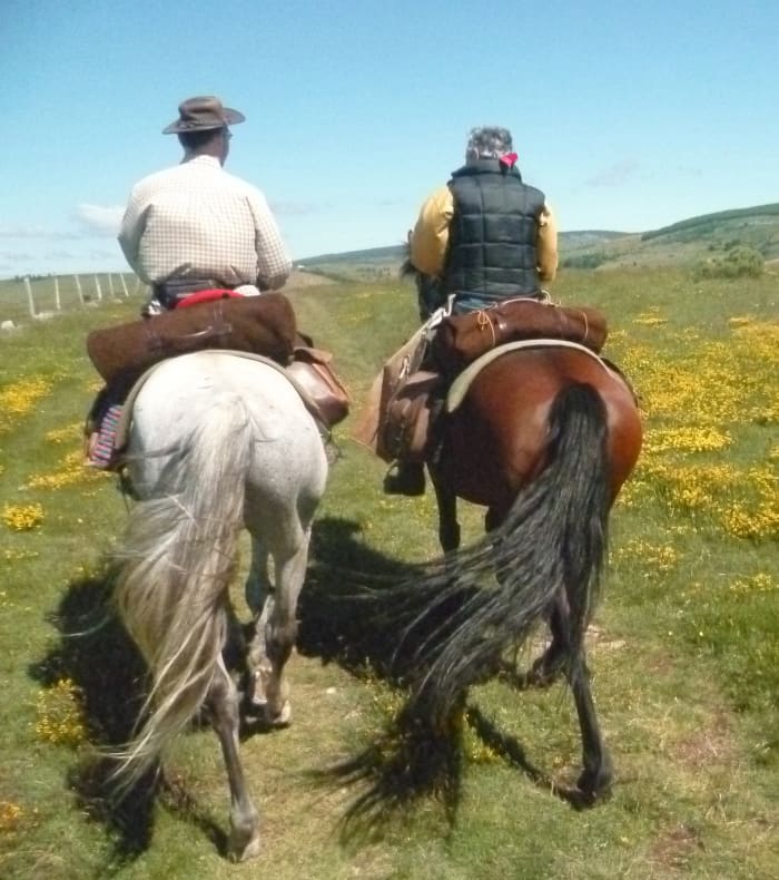 Ridetur i Lozère — billede 2