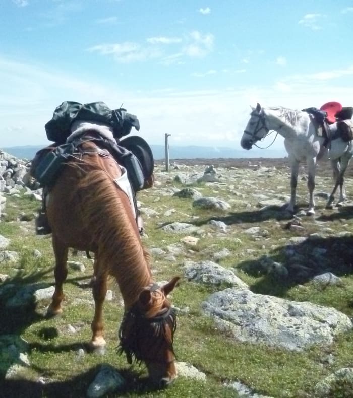 Ridetur i Lozère — billede 3