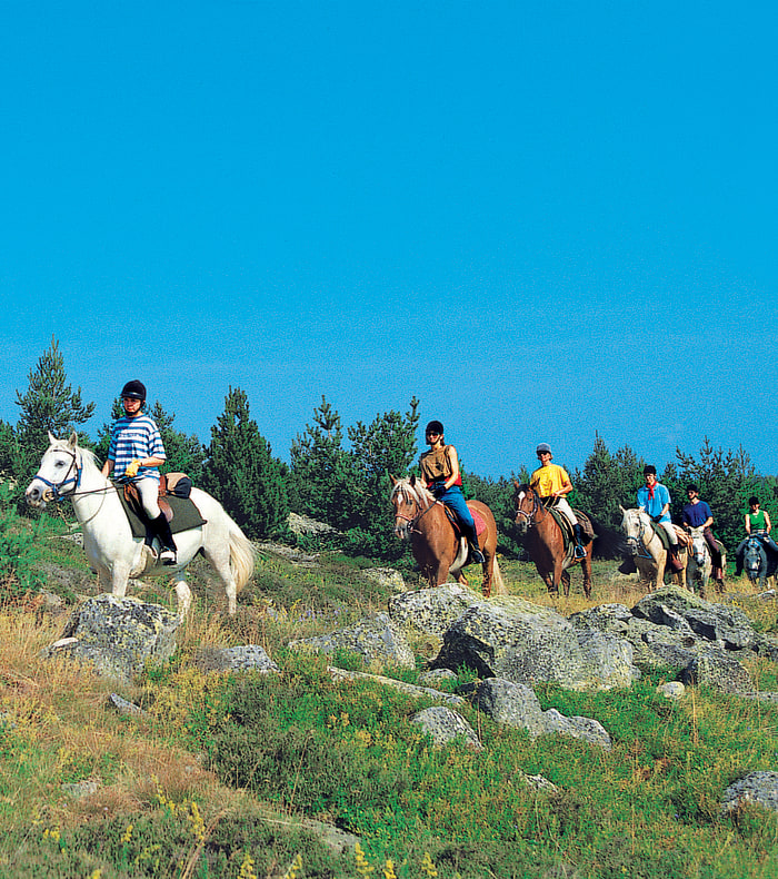 Ryttereventyr på Mont Lozère