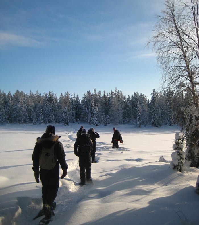 Aventure arctique en pulka