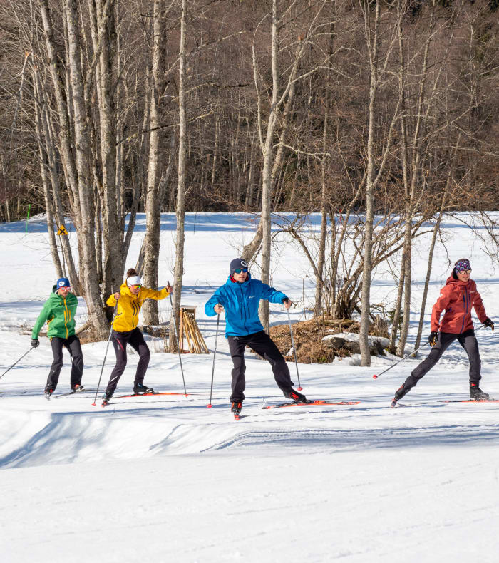 Skiskydning / alpint skiløb — billede 2