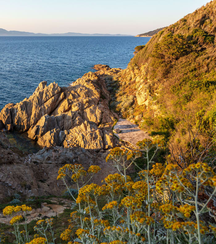 Break 4 jours 4 nuits Exploration profonde Parc de Port Cros