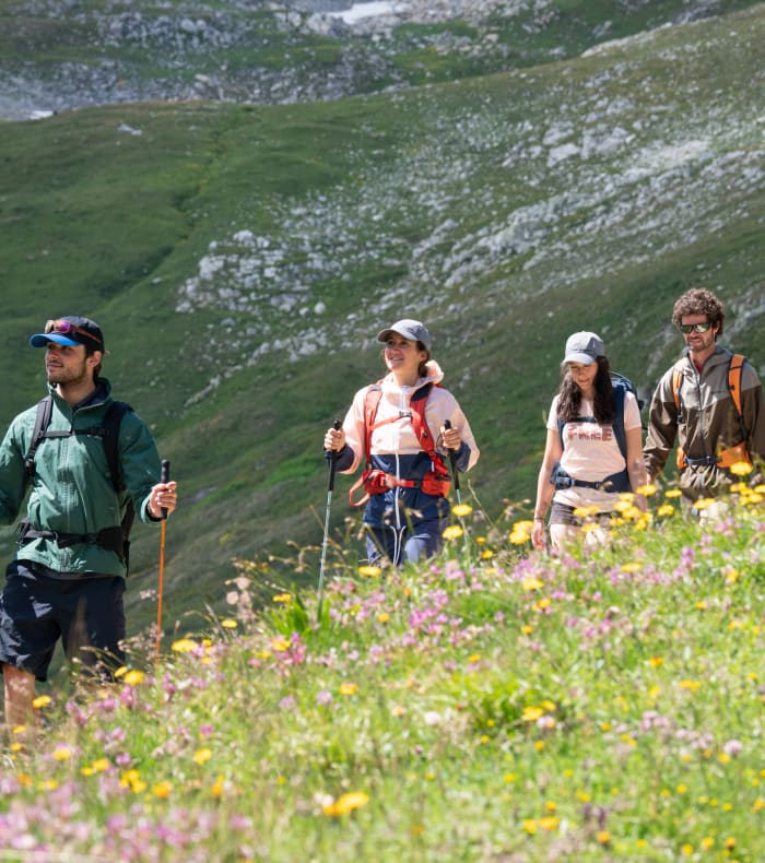 Fire dags pause – De smukkeste stier i Ecrins — billede 2
