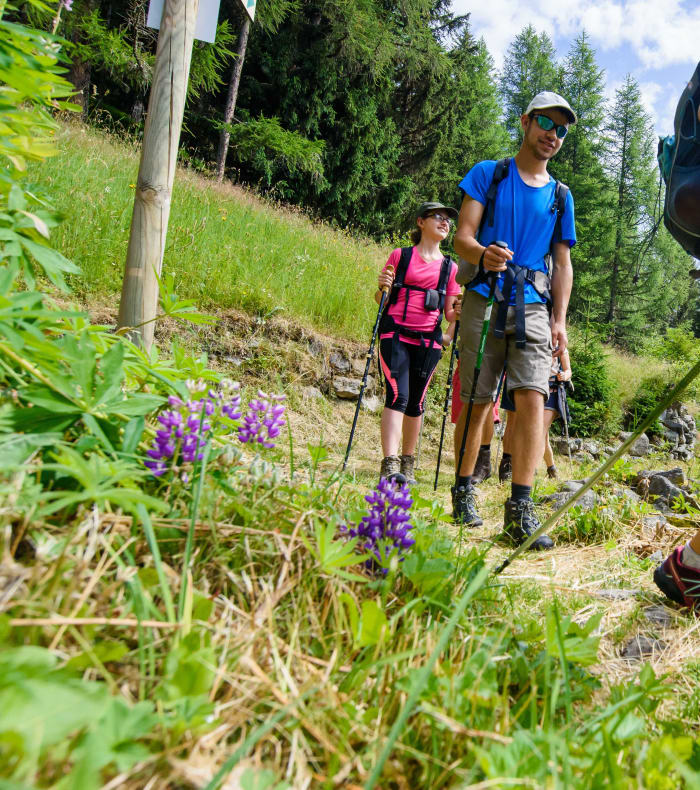 Fire dages pause – Mont Blancs smukkeste stier