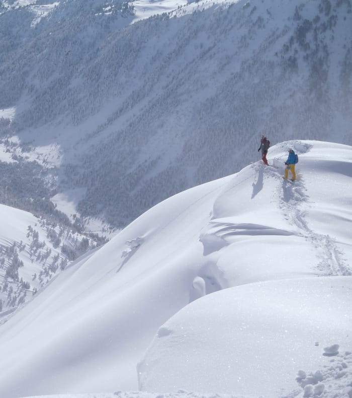 Fire dages pause All Mountain Off-piste Ski — billede 2