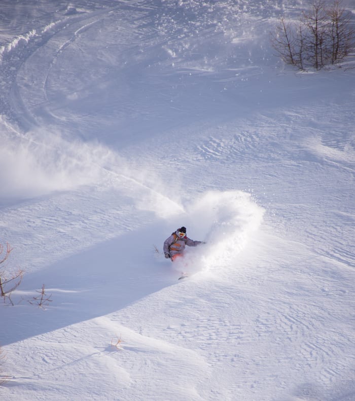 Break 4 jours Splitboard — billede 3
