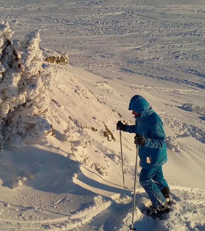 Cani-Trail & Cani-Rando dans le Queyras