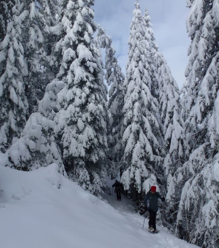 Cani-Trail & Cani-Rando dans le Queyras