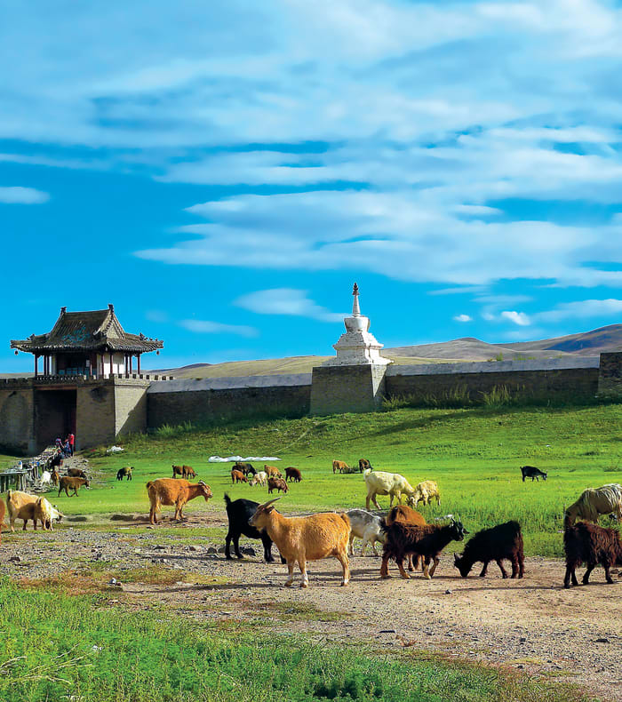 Mongolsk rideeventyr — billede 2