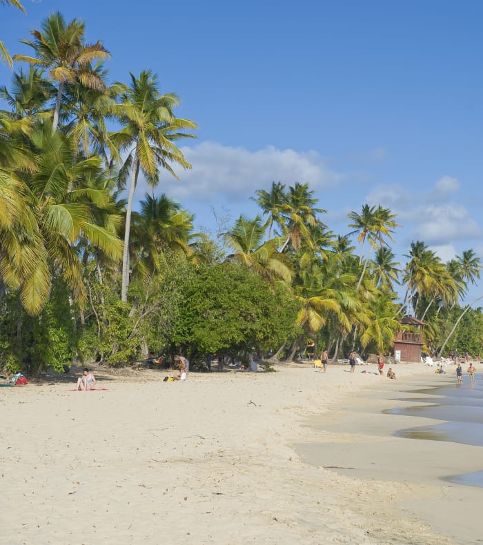 Opdag Martinique 8 dage