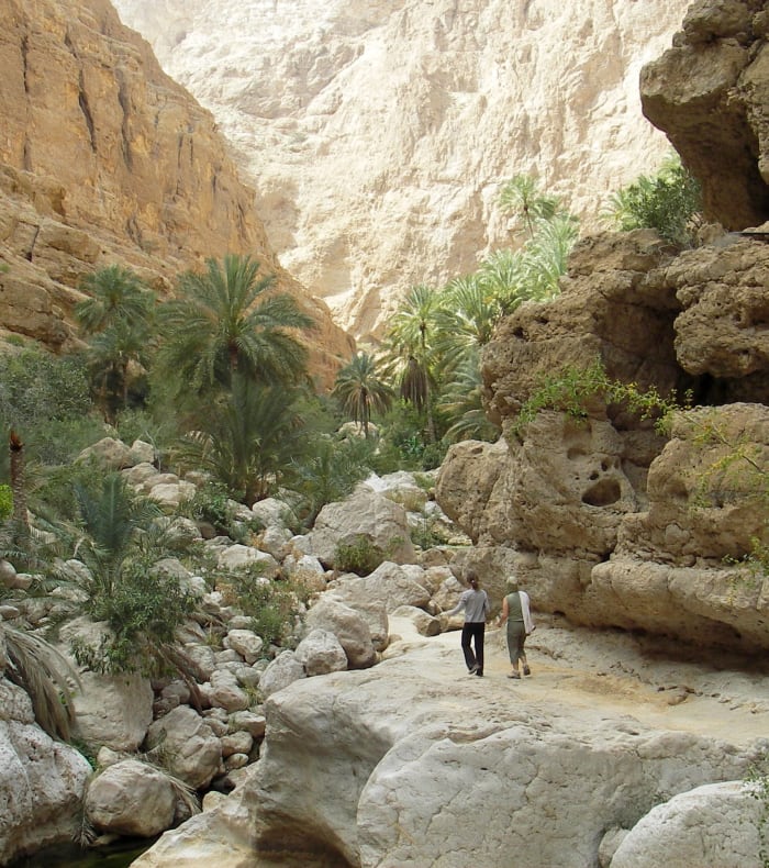 Djebel, désert et littoral du Sultanat