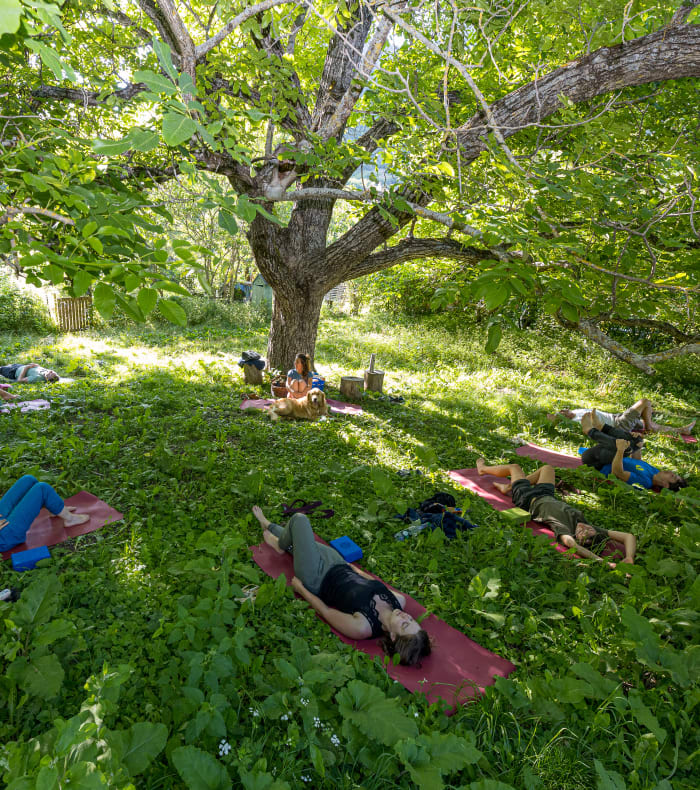 Klatring / Yoga — billede 3