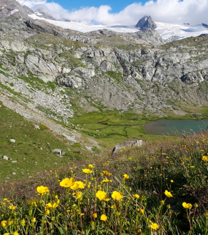 Tur til Aostadalen — billede 3