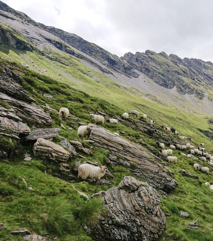 Five Summits Pyrénées - Happy summer
