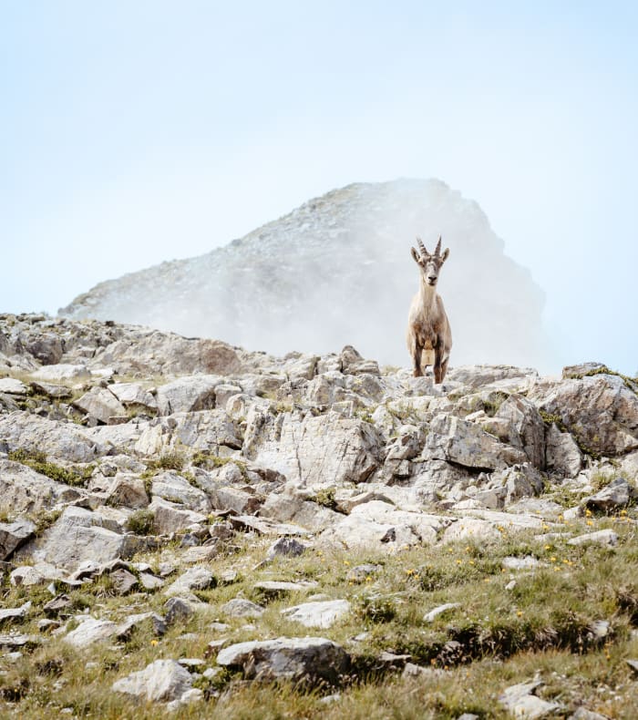 GR 738   L'intégrale au cœur de Belledonne