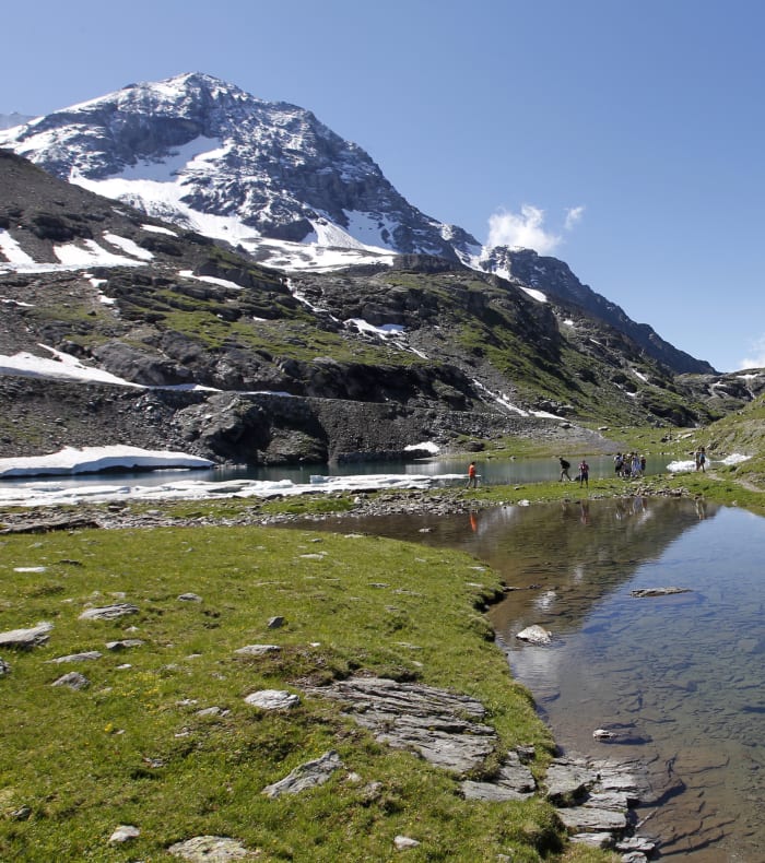 Grand Paradis sauvage — billede 2