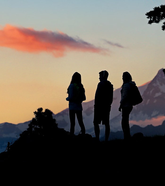 Grand Paradis sauvage — billede 3