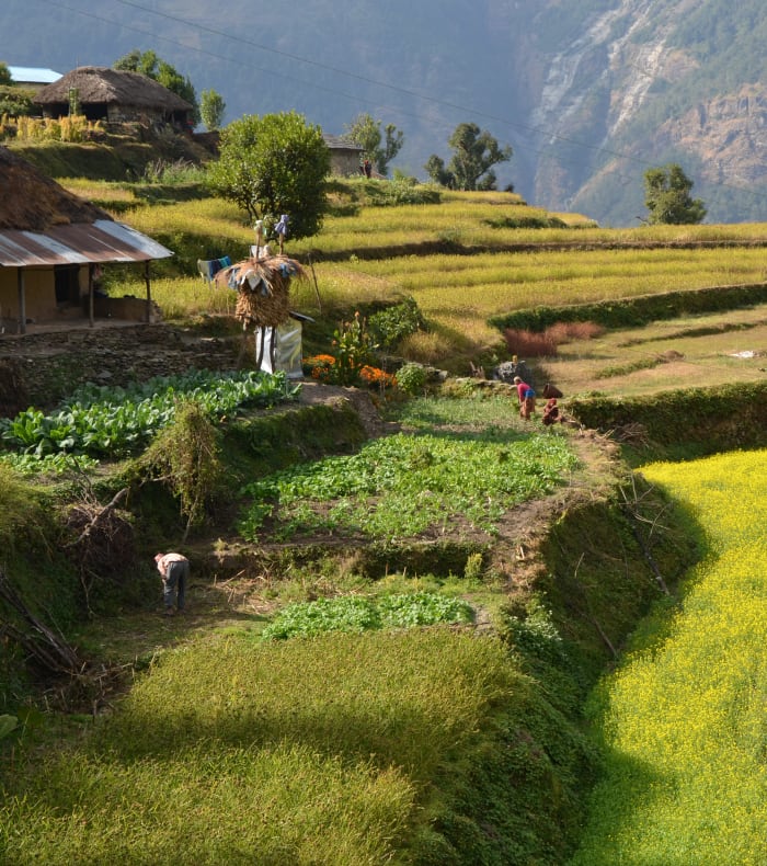 Grand tour du Manaslu - Hiver 26