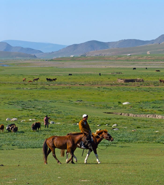 Immersion nomade en terre mongole