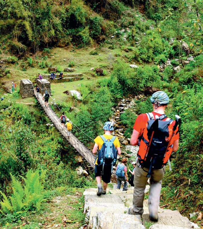 Jungle et Himalaya - Hiver 26