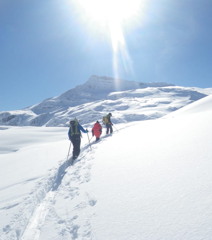 La Silvretta — billede 2