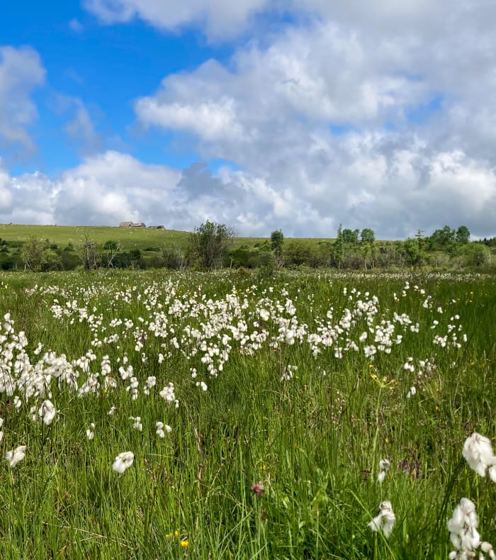 Le tour du Cantal