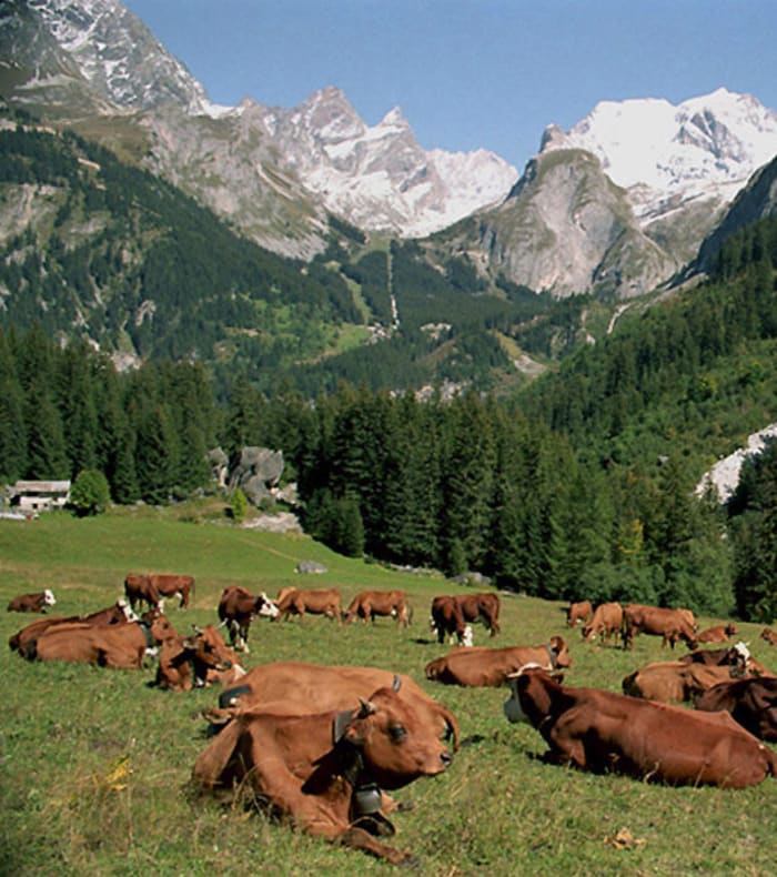 Gletsjerne i Haute Maurienne — billede 3