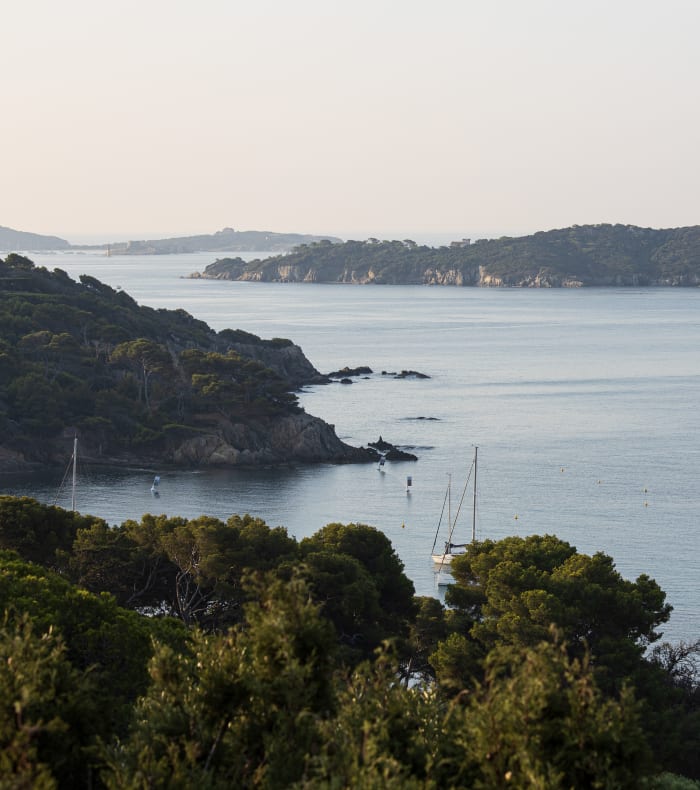 De smukkeste stier ved Porquerolles og Giens - Happy Summer — billede 2