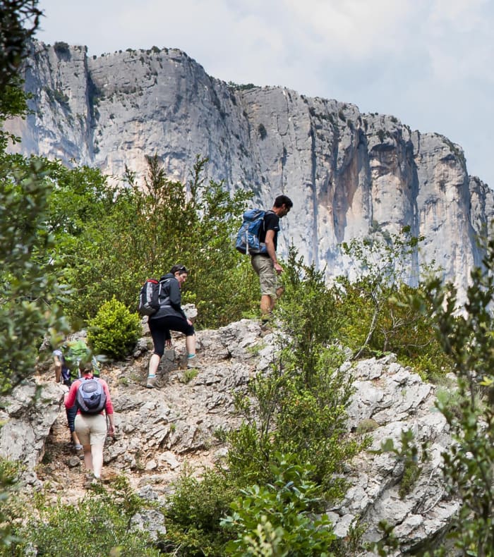De smukkeste stier i Verdon - Happy Summer — billede 3