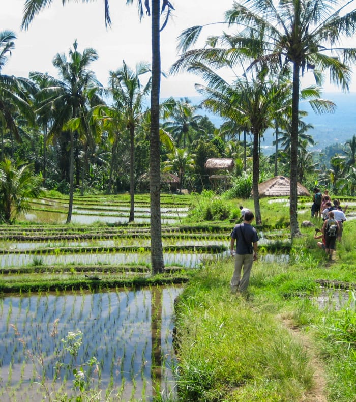 Les rizières de Bali - Vol retour de nuit