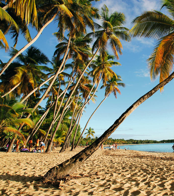 Multiglisses / Découverte Caraïbes