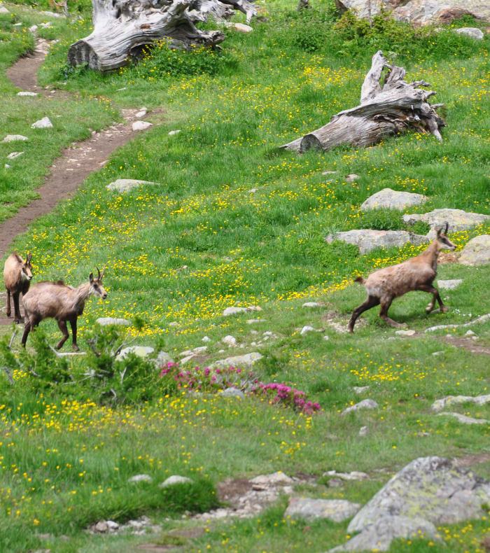 Multisport dans le Mercantour