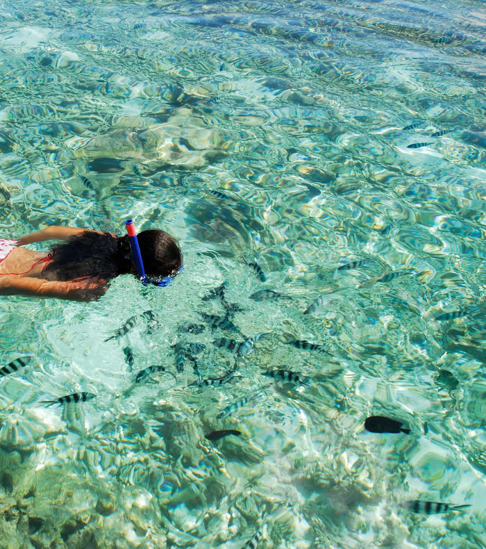 Pack Bon Plan les Saintes 11 jours