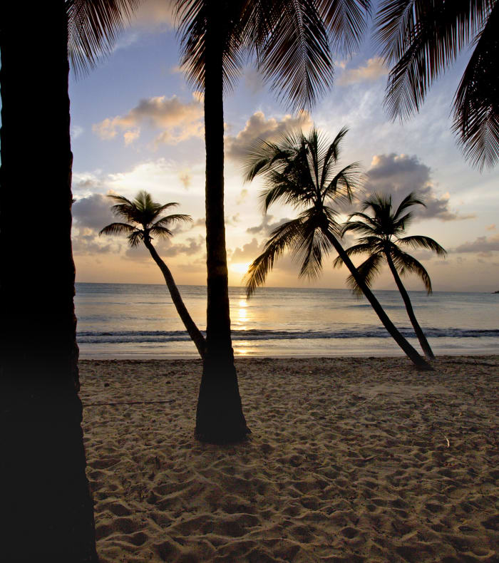 Pack Bon Plan Martinique 8 jours