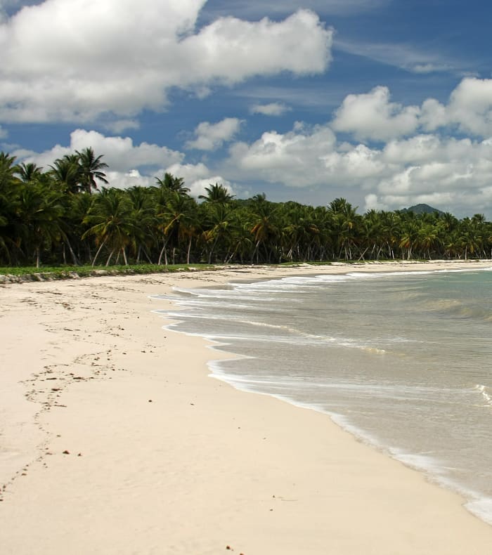 Pack Bon Plan Martinique 8 jours