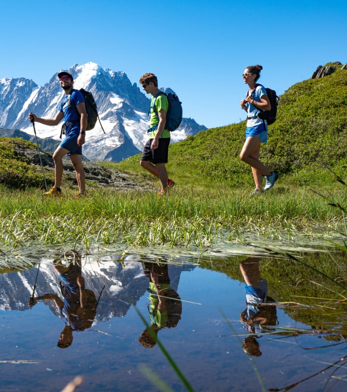 Panoramisk udsigt over Mont-Blanc gletsjere - Happy Summer — billede 3