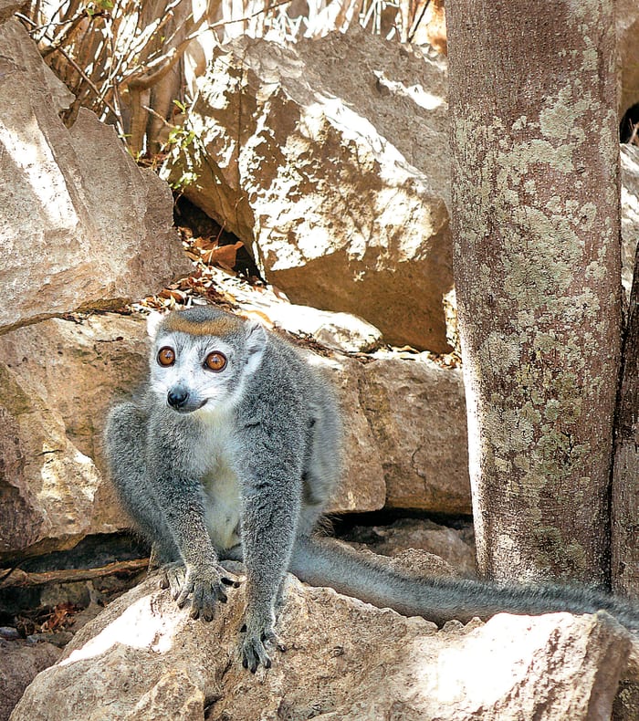 Madagascars landskaber — billede 3