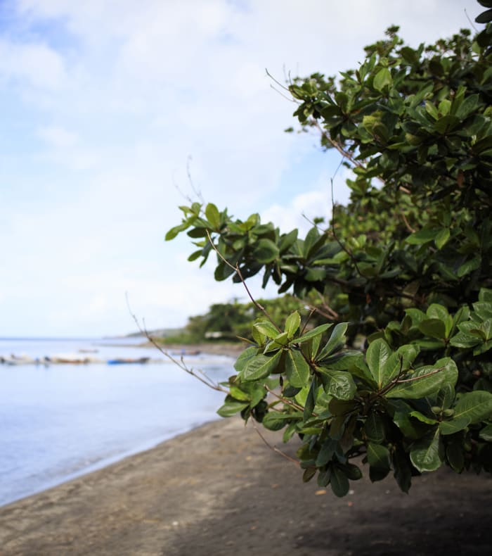 Pics et sommets des Caraïbes 8 jours