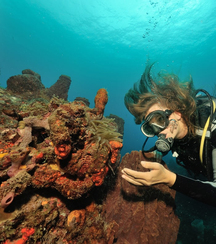 Plongée Autonome & Découverte Martinique