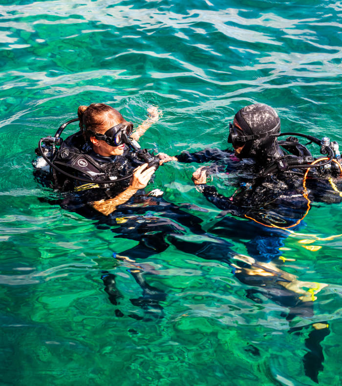 Plongée exploration aux Saintes 15 jours