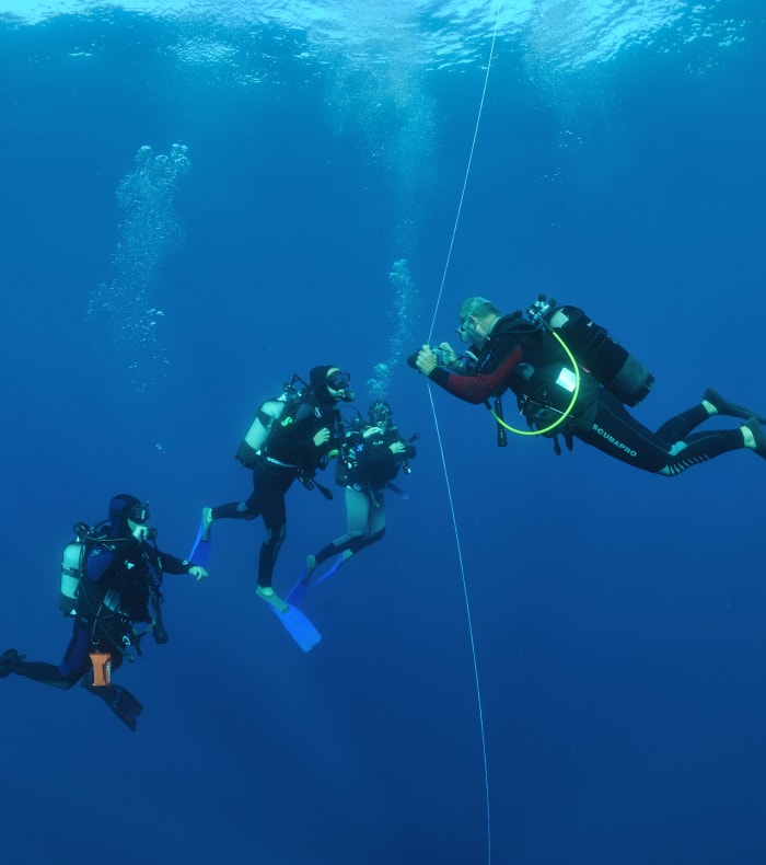 Plongée exploration Côte bleue - 5 jours - Sans hébergement