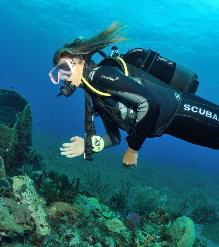 Plongée exploration Martinique 15 jours