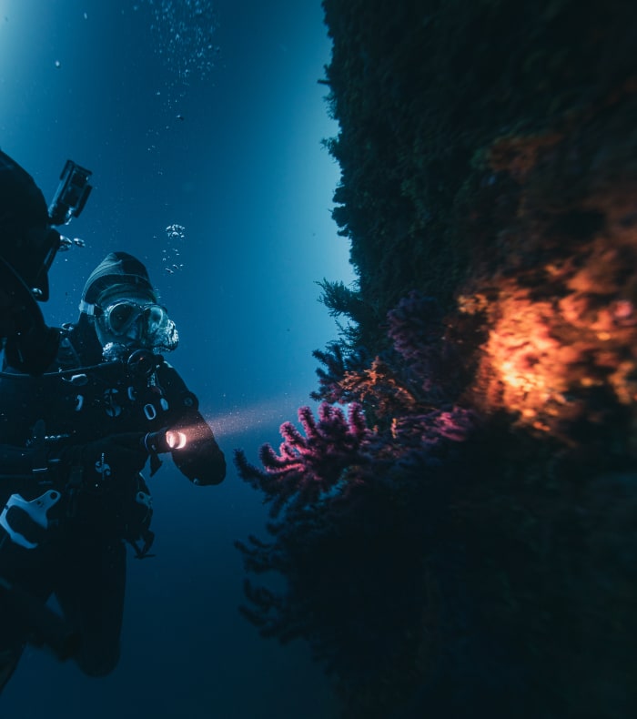 Plongée exploration profonde Parc des Calanques 5 jours