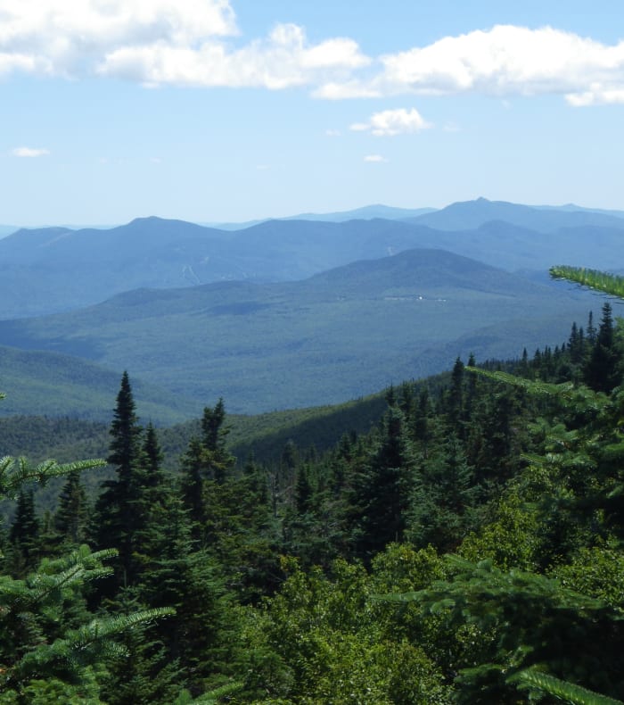 Québec natur — billede 2