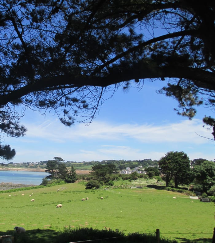 Ro i Morlaix-bugten — billede 3