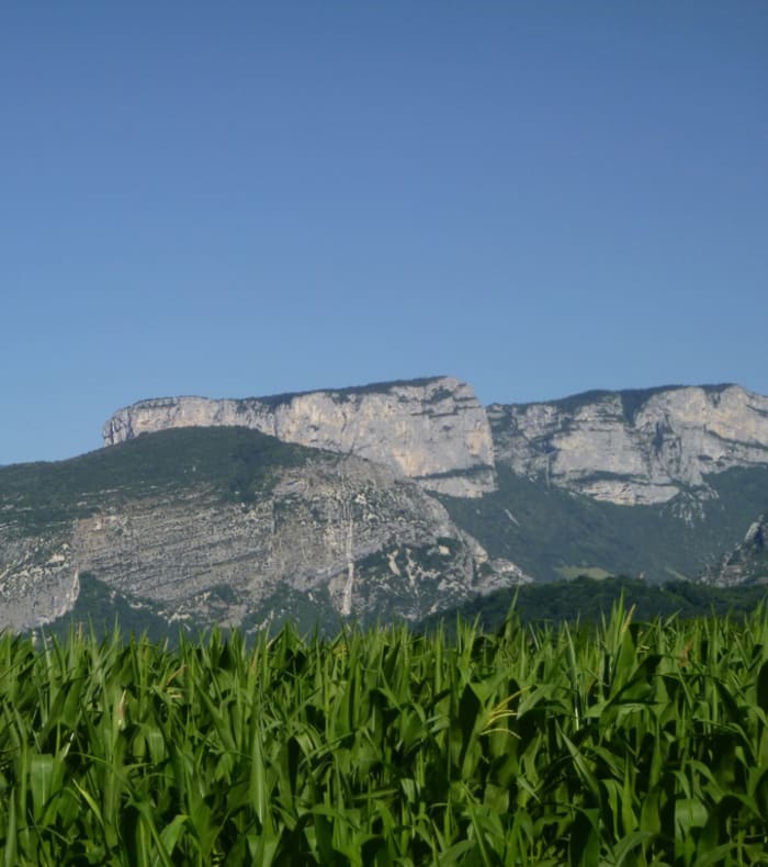 Break Rando Yoga dans le Vercors, nature et bien-être