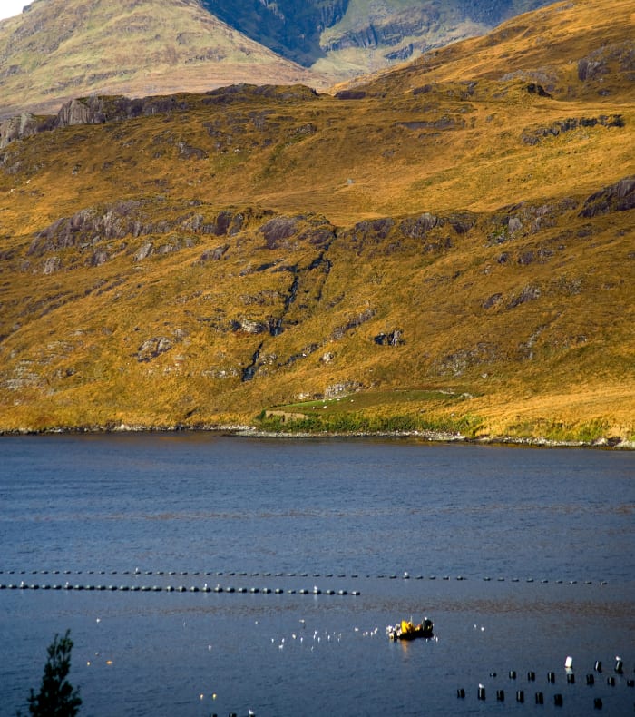 Randos et vélo au Connemara