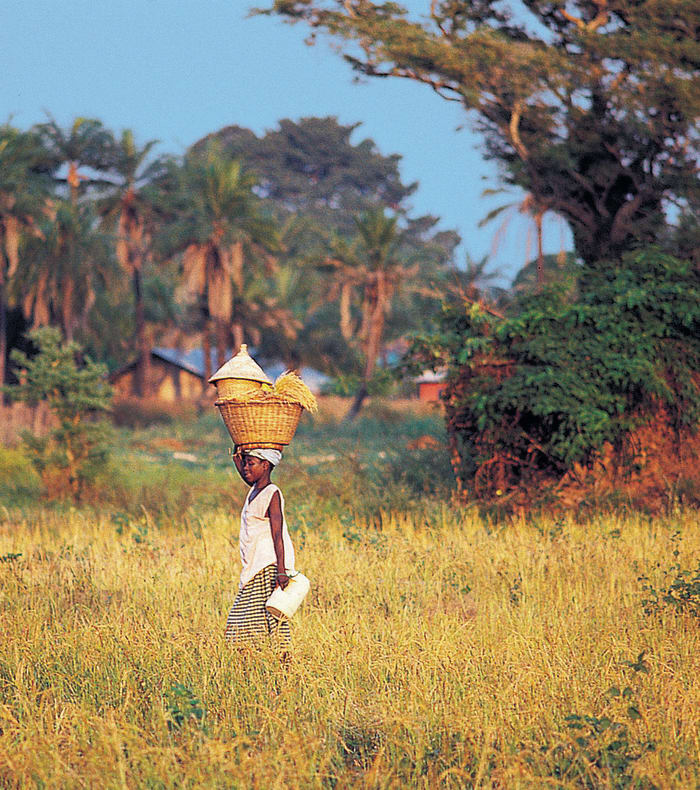 Secrets fra Casamance — billede 2