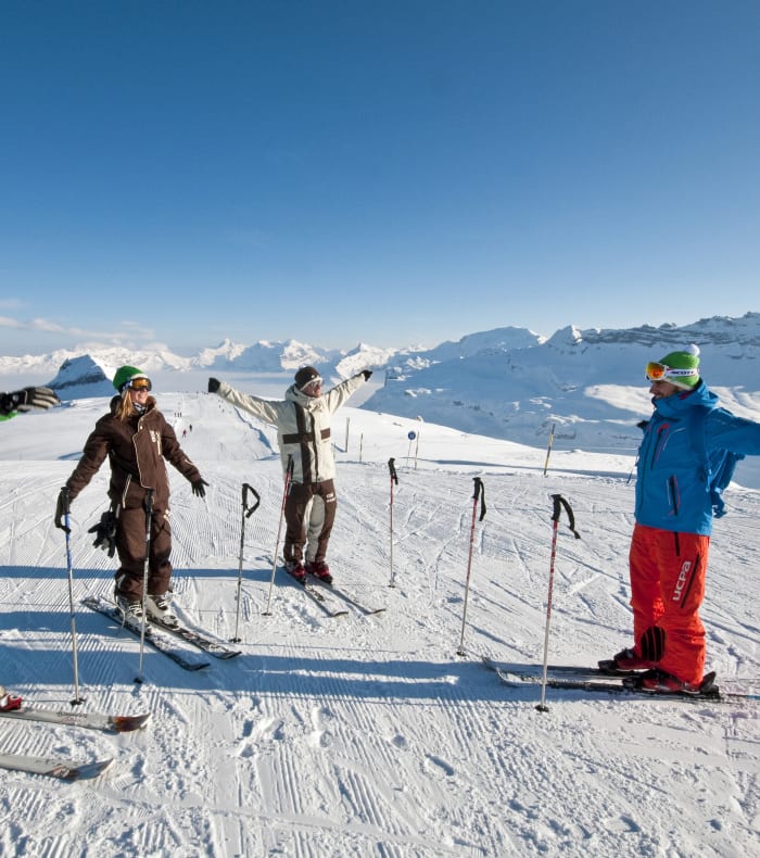 Ski "Progress" — billede 2